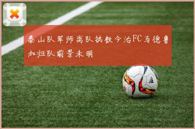 泰山队军师离队执教今治FC马德鲁加归队前景未明